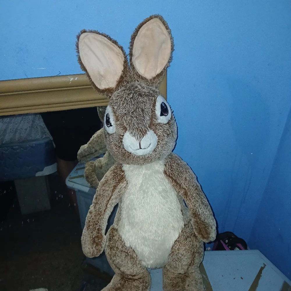 Peter Rabbit - Picture 3 of 3